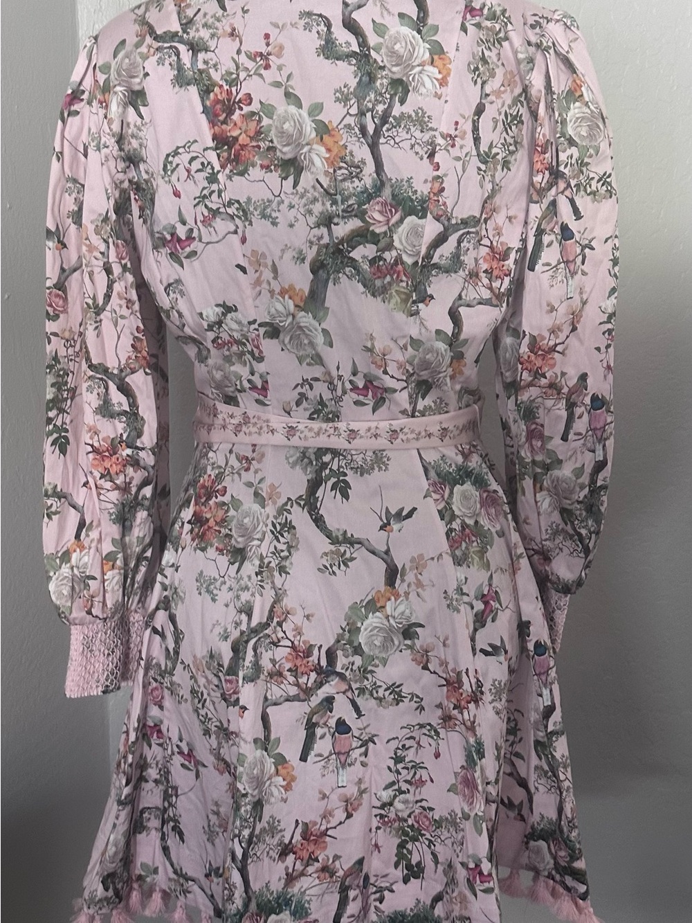 ALICE + OLIVIA
Lucy Floral Print Tie
Waist Minidress - Picture 8 of 10